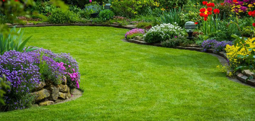 Gardening & Landscaping